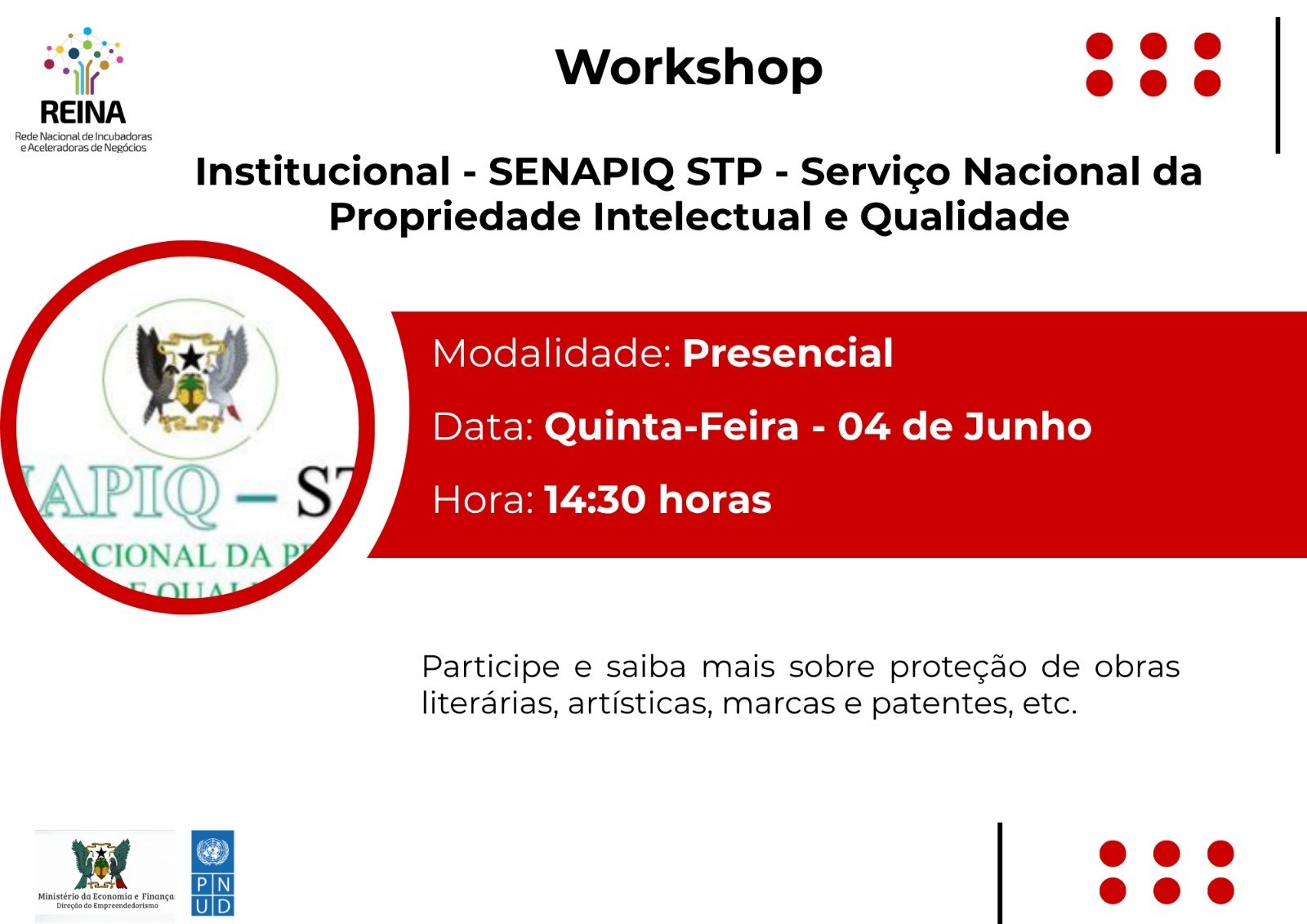 Workshop Institucional – SENAPIQ STP