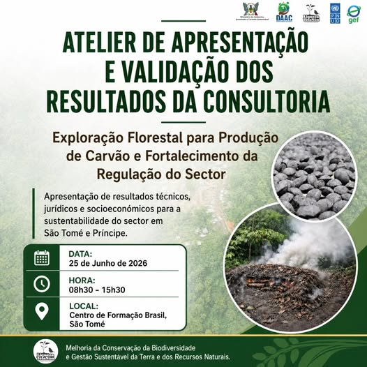 Atelier de Apresentação e Validação dos Resultados da Consultoria sobre a Exploração Florestal para Produção de Carvão