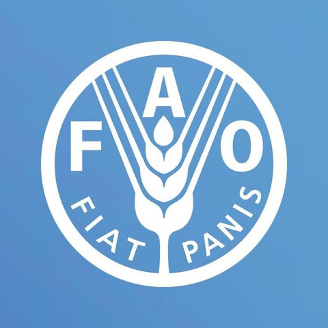 Vaga para um/a Assistente Administrativo(a)  e de Operações