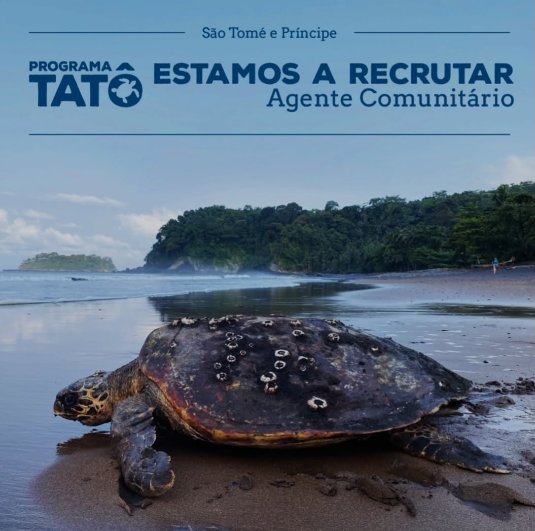 Oferta de Trabalho Remunerado para Agente Comunitário de Conservação de Tartarugas Marinhas